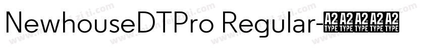 NewhouseDTPro Regular字体转换